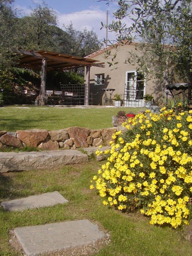 Settignano Tuscany Homes 외부 사진