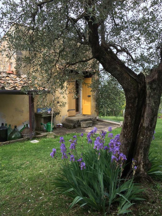 Settignano Tuscany Homes 외부 사진